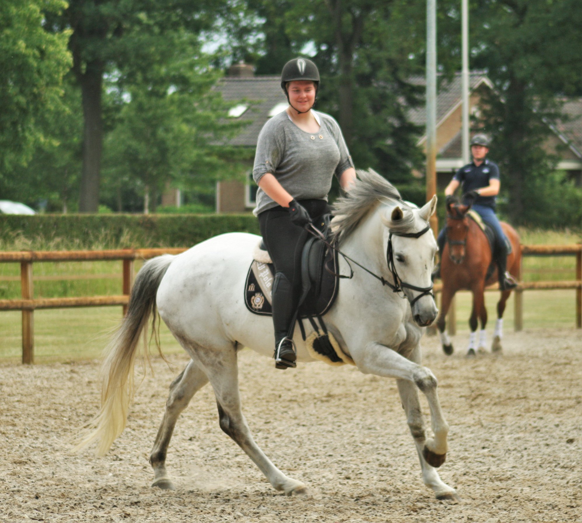 Nu ook dressuurlessen voor paarden op vrijdagavond