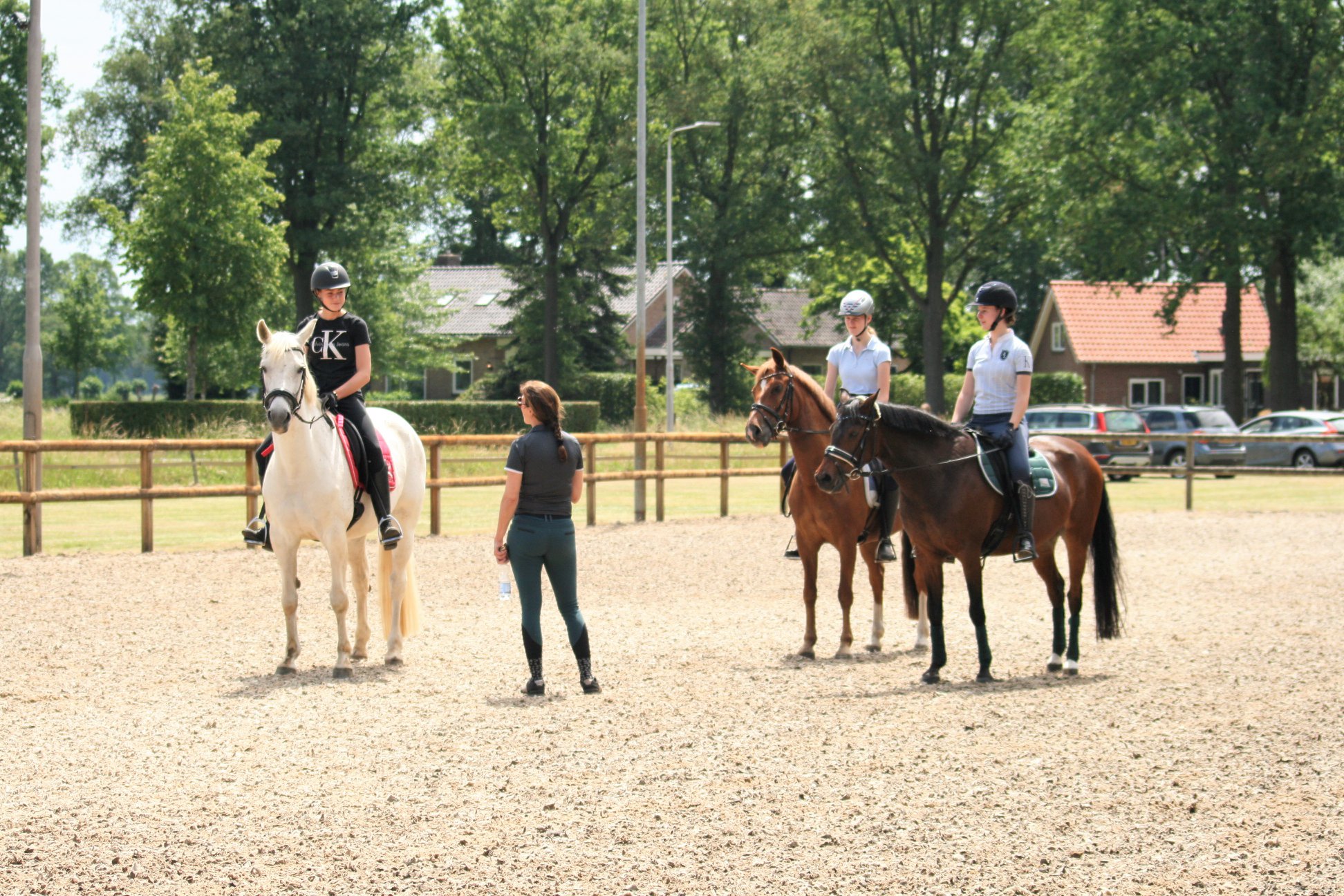 Leerzame clinics van topinstructeurs